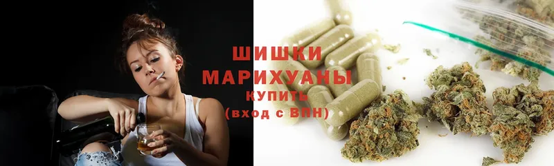 Бошки марихуана планчик  купить наркоту  Барнаул 